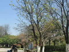 -城市阳台