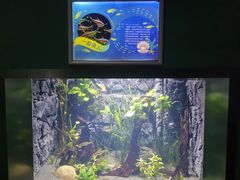 -常州海昌海洋探索馆