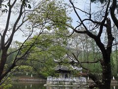 -习家池