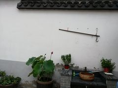 龙湖东院四合院内公平台-龙湖东院农庄(乡间小路店)