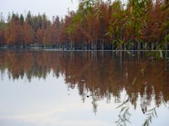 -白鹭湾湿地公园