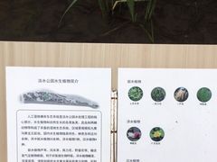 -成都市活水公园