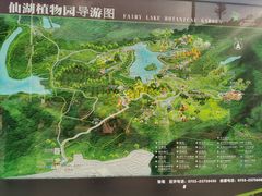 -深圳仙湖植物园