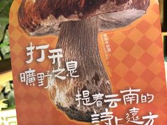 -芸山季·云南山珍菌火锅(人民广场来福士店)