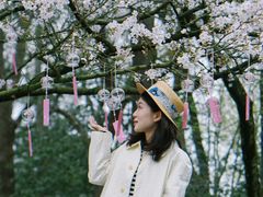 -杭州少年儿童公园