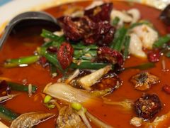 -莲苑中餐厅·Lotus Court(厦门马哥孛罗东方大酒店)
