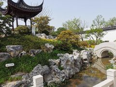 -上海滨江森林公园