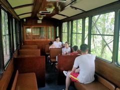 -合肥滨湖国家森林公园