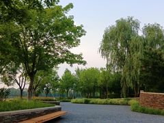 -东郊湿地公园
