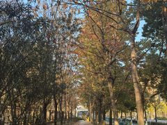 -南京明基医院