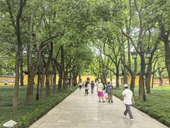 -西园寺素食(西园弄戒幢律寺店)