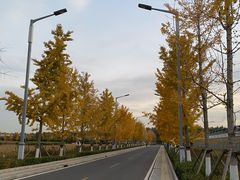 -北京美神宫艺术主题温泉酒店