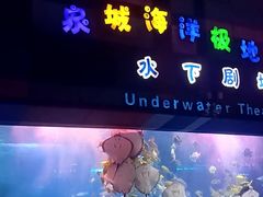 -泉城欧乐堡海洋极地世界