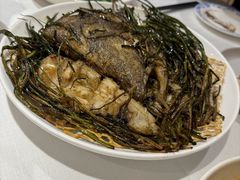 葱烤鸦片鱼头-老吉士酒家(天平路店)