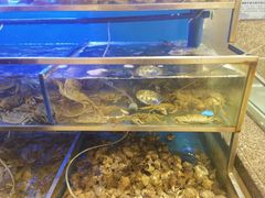 -海天一色海景自助餐厅(西港花园店)