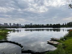 -洋湖国家湿地公园