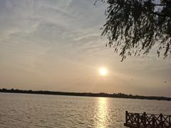 -丁香湖公园