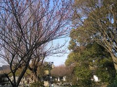 -常熟方塔园