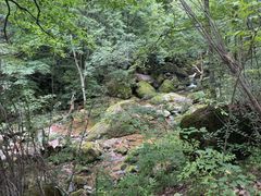 -小陇山国家森林公园桃花沟景区