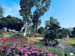 -东莞植物园