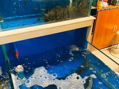 -姜君·千岛湖鱼头馆(浦东大道店)