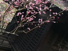 -黄公望隐居地