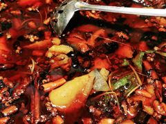 -红辣椒·川菜·火锅(张杨路店)