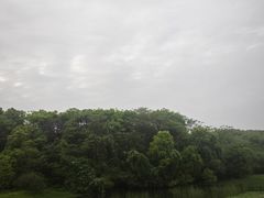 -艾溪湖湿地公园