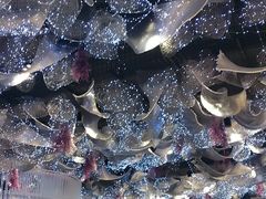 -金筷子·喜事汇