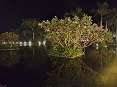 -柏悦酒店-沁园牛排海鲜西餐厅