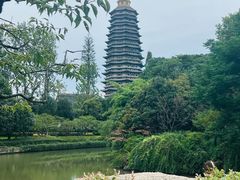 -红梅公园