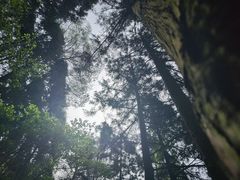 -东天目山风景区