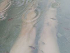 iphone_upload_pic-三江森林温泉度假区