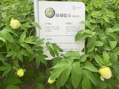 -太阳宫公园