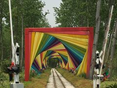 -合肥滨湖国家森林公园