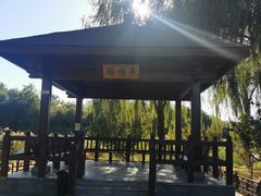 -大兴滨河森林公园