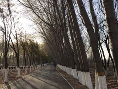 -东郊湿地公园