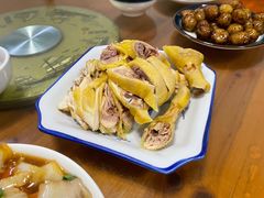 -大树下饭店(春晓镇慈岙社区卫生服务站南)