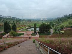 -安宁市宁湖森林公园