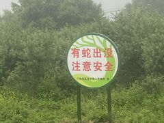 -灵山
