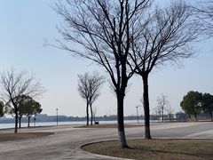 -海宁鹃湖公园