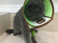 -贝利宠物医院·骨科·眼科·肿瘤转诊中心(南坪诊疗中心)