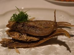 -鹿园 MOOSE(长宁店)