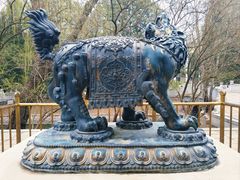 -北京动物园-畅观楼