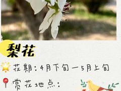 -西青郊野公园