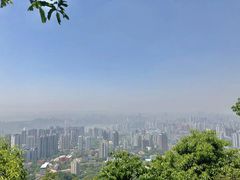-南山植物园