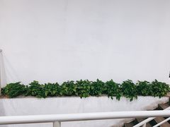 -老黑板筋(顺义总店)