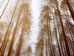 -山王坪喀斯特国家生态公园