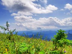 -白草畔自然风景区