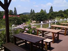 -神户市立六甲山牧场